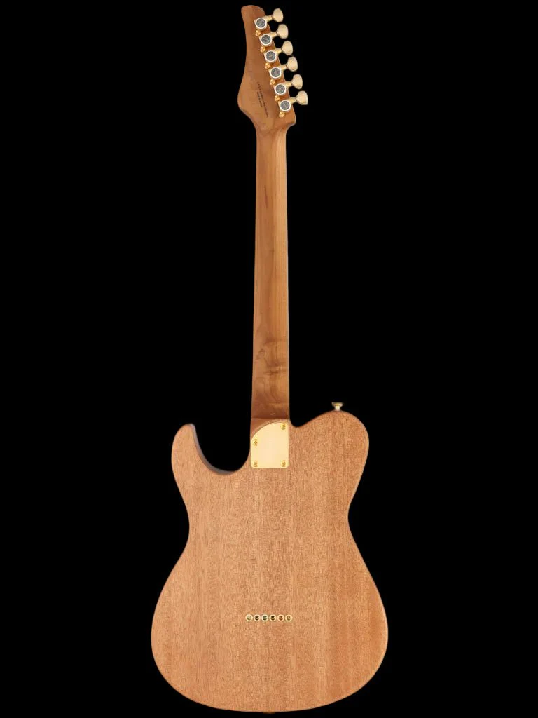 FGN Expert Iliad, Natural Flat Electric Guitar - Image 4