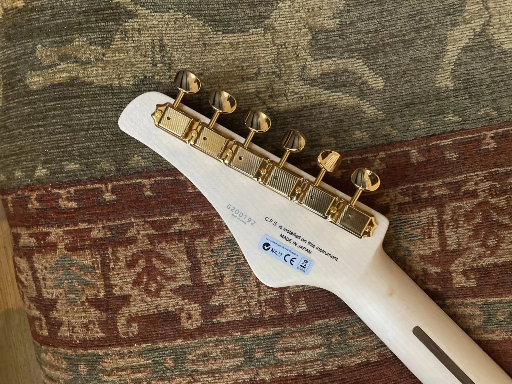 FGN Expert Odyssey, Ripe Kaki Gradation Electric Guitar - Image 12
