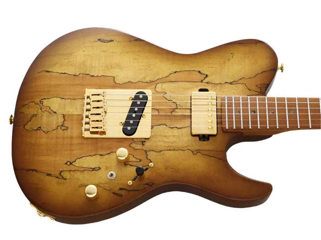 FGN Expert Iliad HCB, Hojicha Burst Electric Guitar - Image 18
