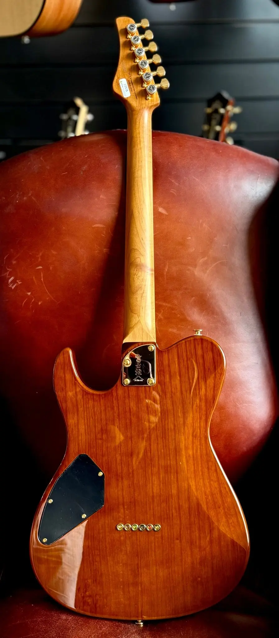 FGN Expert Iliad HCB, Hojicha Burst Electric Guitar - Image 19
