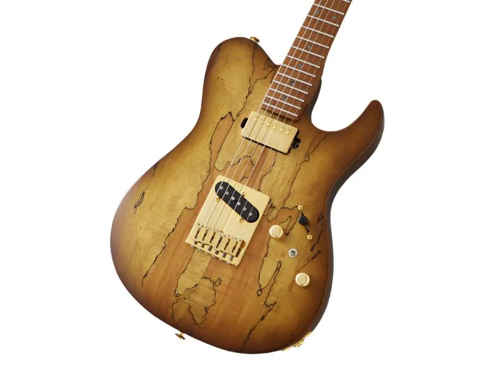 FGN Expert Iliad HCB, Hojicha Burst Electric Guitar - Image 21