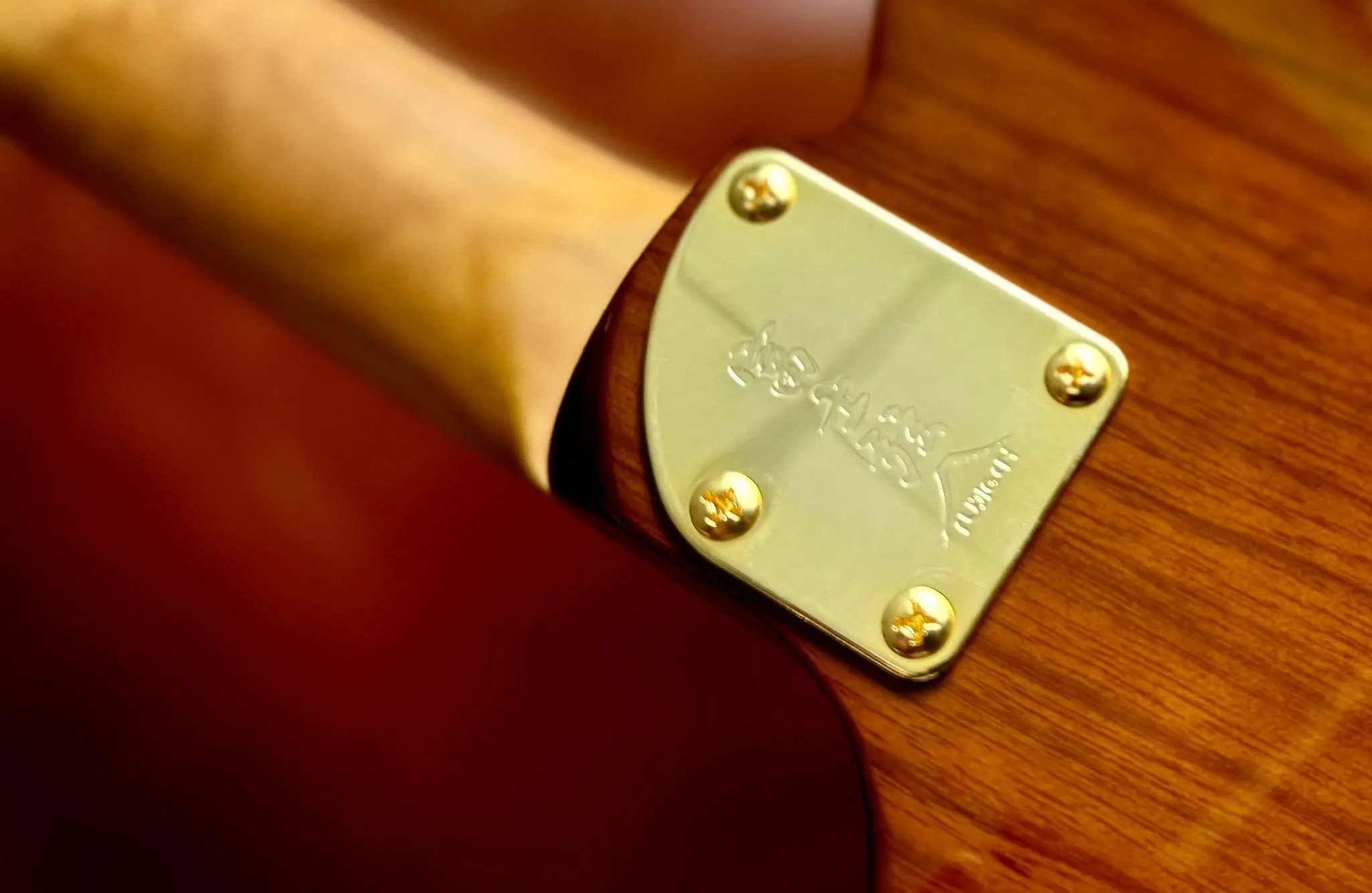 FGN Expert Iliad HCB, Hojicha Burst Electric Guitar - Image 6