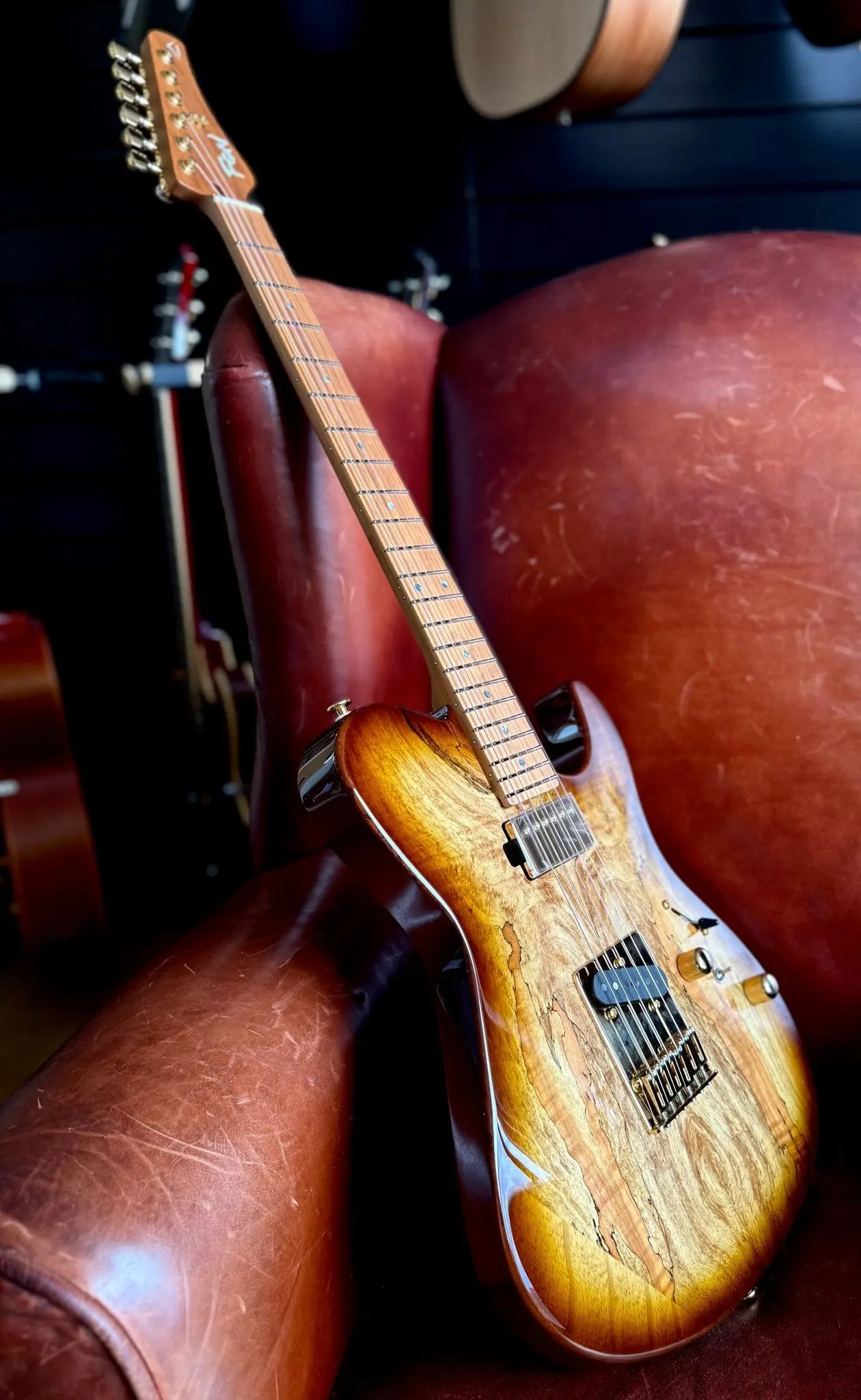 FGN Expert Iliad HCB, Hojicha Burst Electric Guitar - Image 8