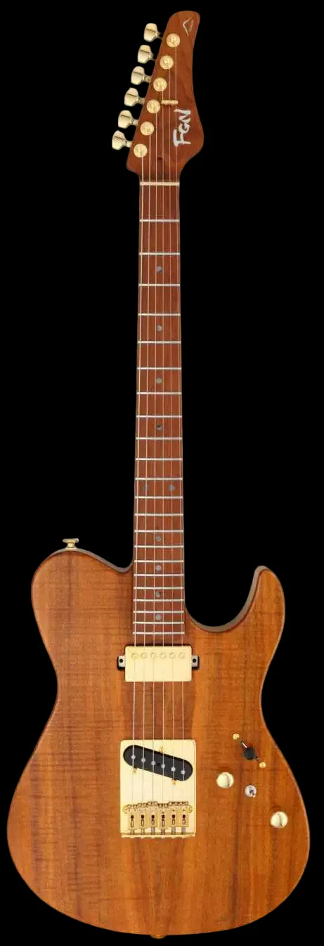 FGN Expert Iliad VNT, Vintage Natural Electric Guitar - Image 2