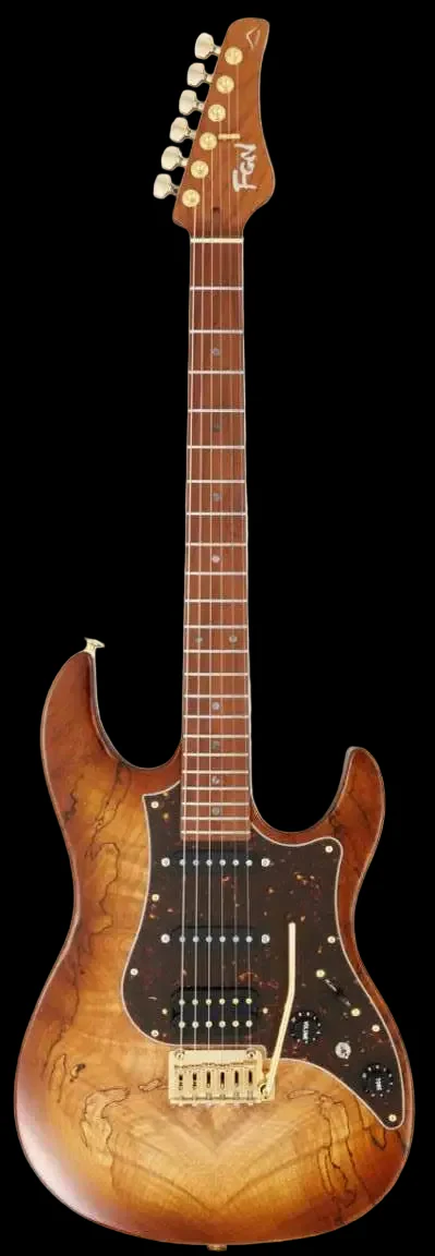 FGN Expert Odyssey, Hojicha Burst Electric Guitar - Image 2