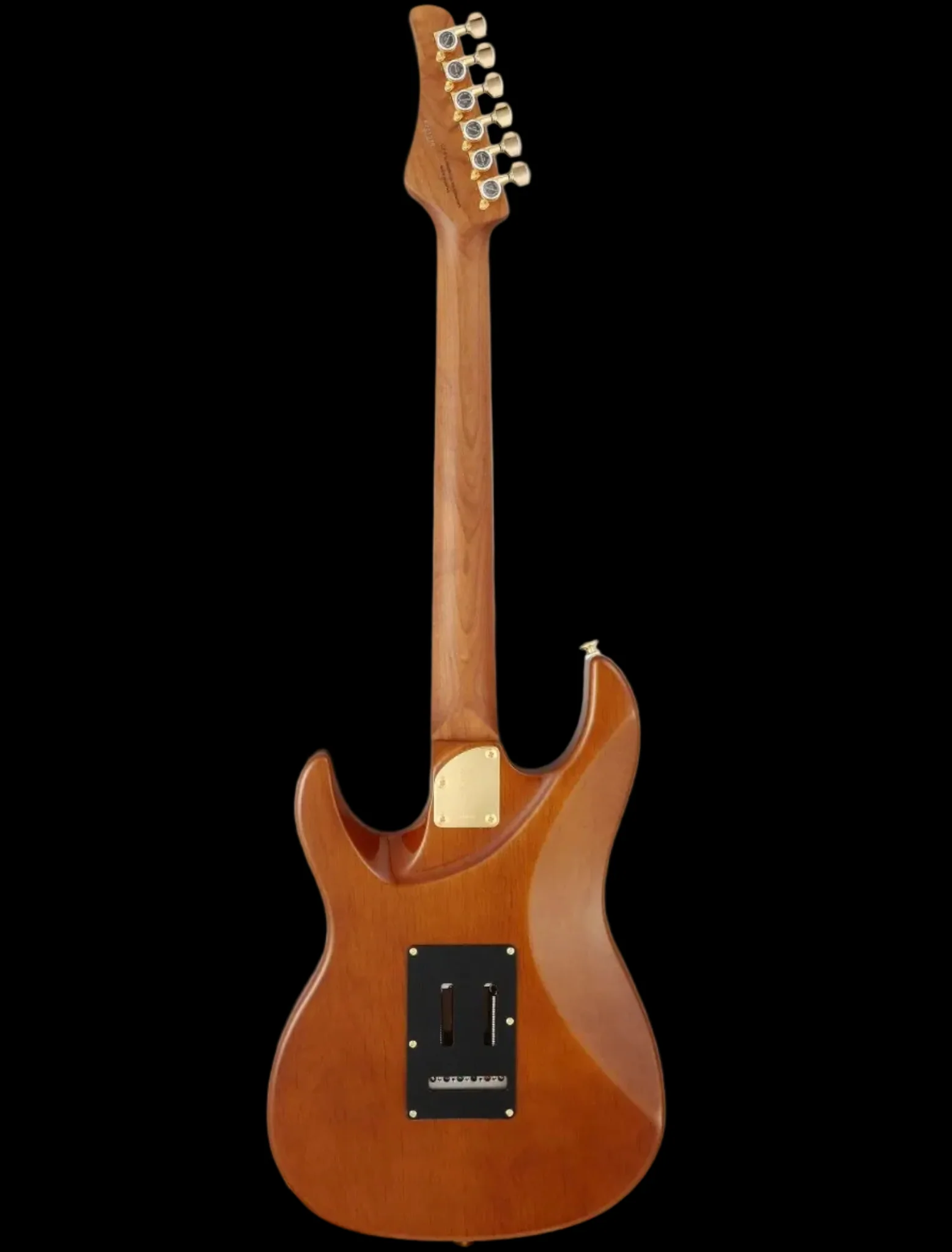 FGN Expert Odyssey, Hojicha Burst Electric Guitar - Image 3