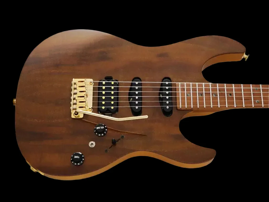 FGN Expert Odyssey, Vintage Natural Electric Guitar - Image 2