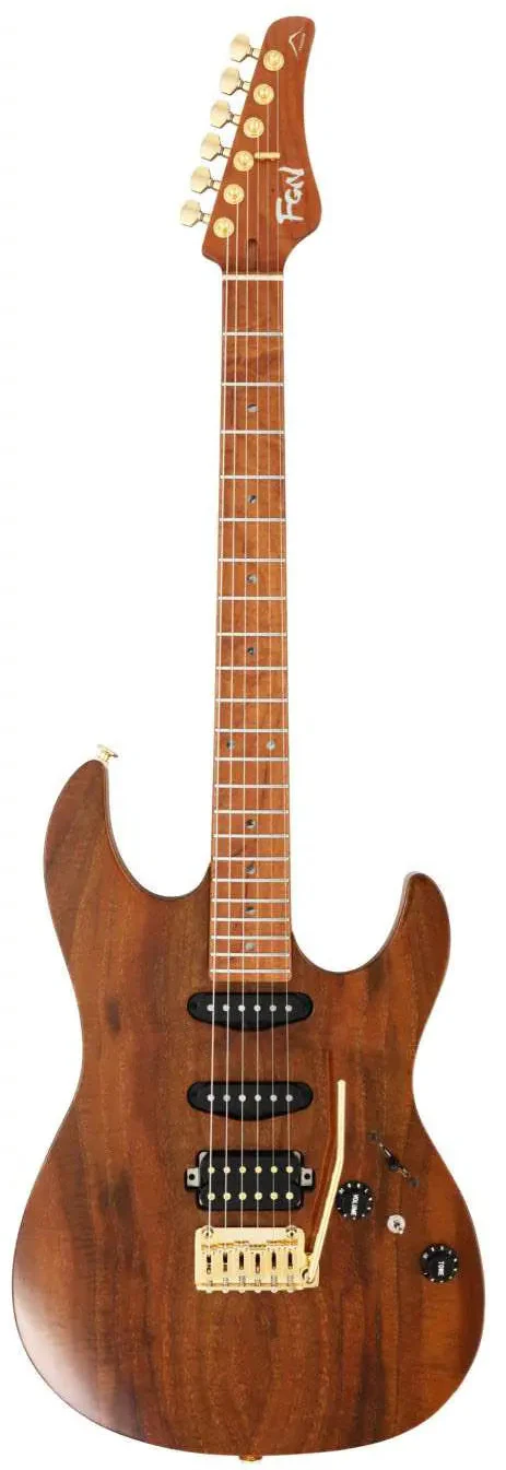 FGN Expert Odyssey, Vintage Natural Electric Guitar - Image 3