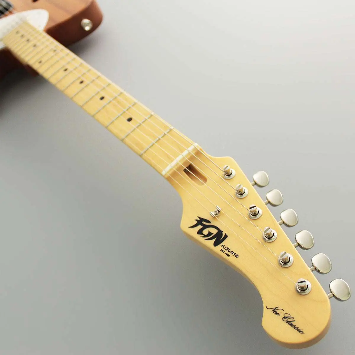 FGN Neoclassic NTE210RAH, 2 Tone Sunburst Electric Guitars - Image 15