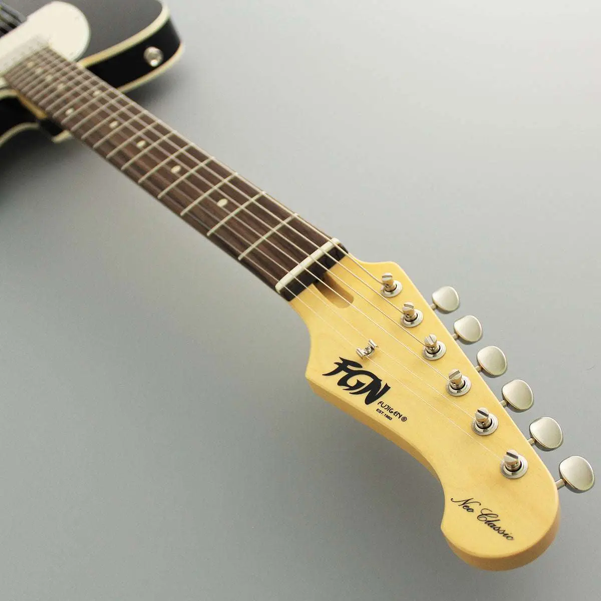 FGN Neoclassic NTE210RAH, Black Electric Guitars - Image 6