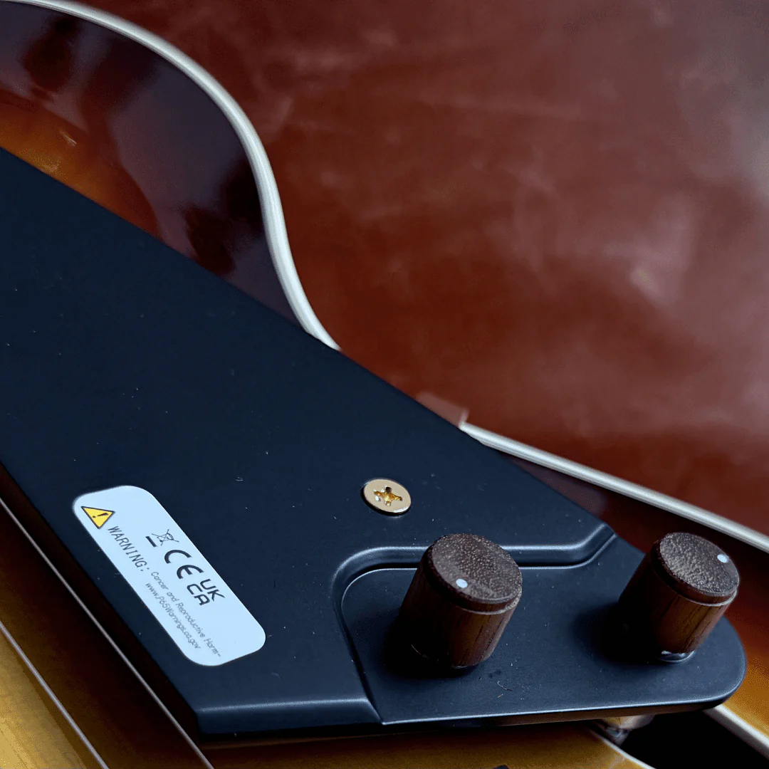 FGN Masterfield  MFA FP (Custom Pro Exclusive) Jazz Burst, Archtop Electric Guitar - Image 3