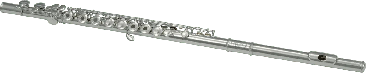 Flute (Entry Level) - C