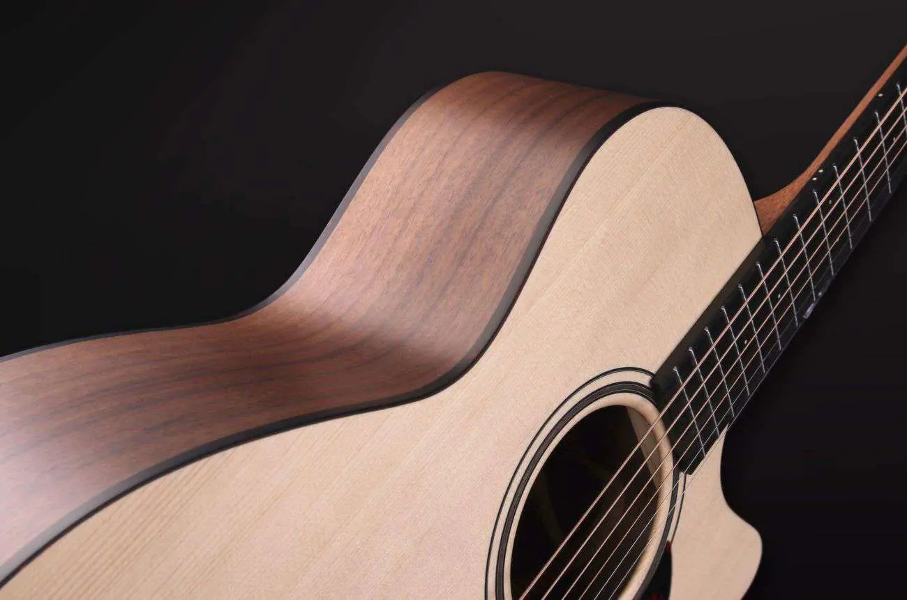 Furch Blue Dc-SW Dreadnought 12 string (cutaway) Acoustic Guitar (2026 CNR Active Upgrade Model) - Image 10