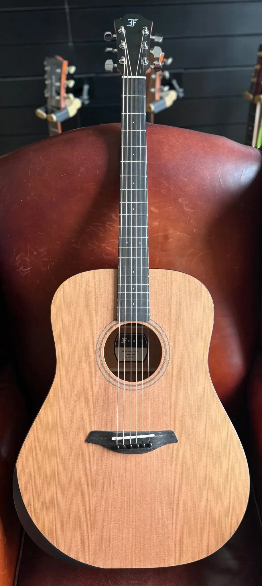 Furch Blue Deluxe D CM (2026 CNR Active Upgrade Model) - Image 3