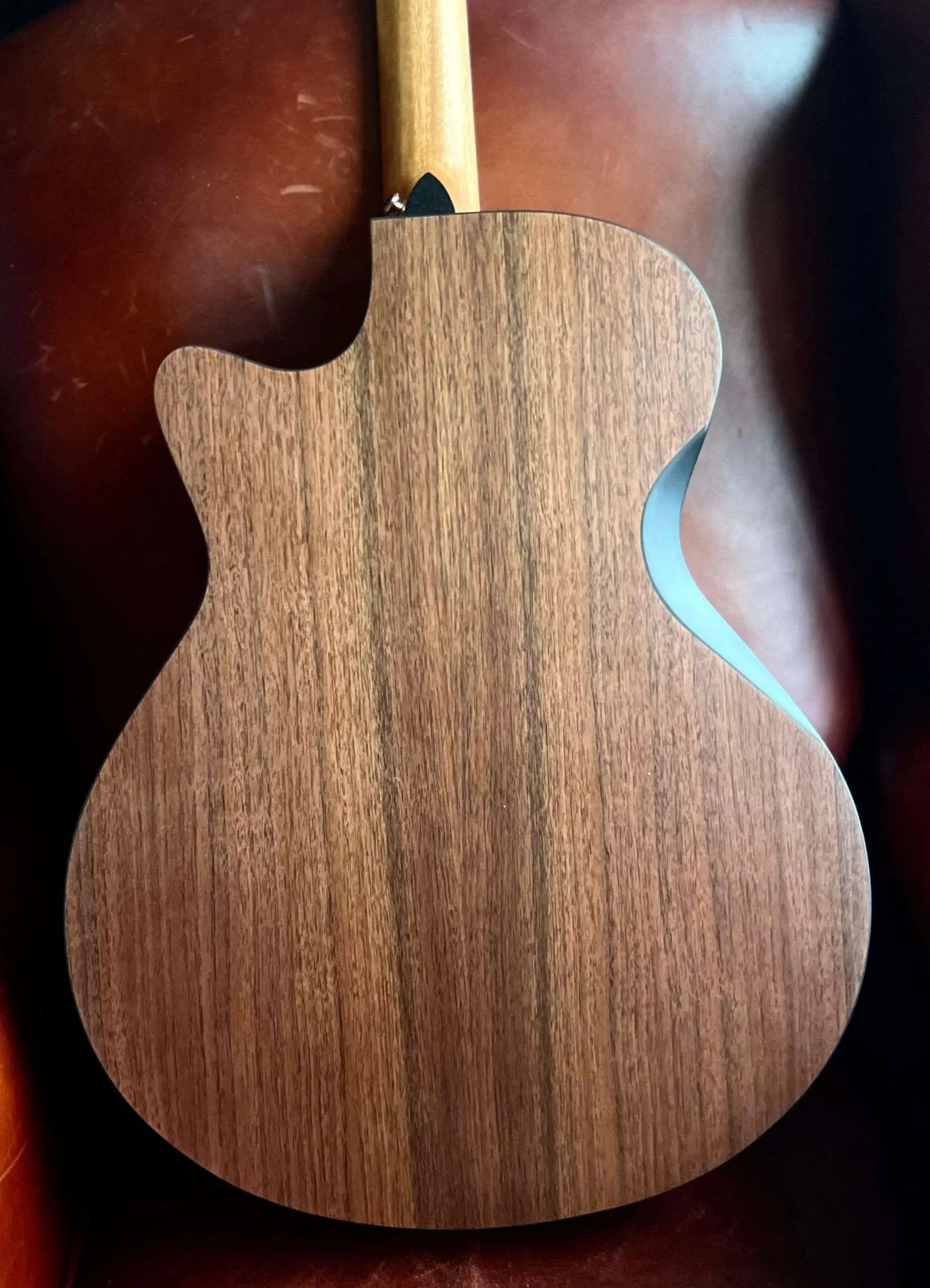Furch Blue Deluxe Gc-SW, Acoustic Guitar (2026 CNR Active Upgrade Model) - Image 15
