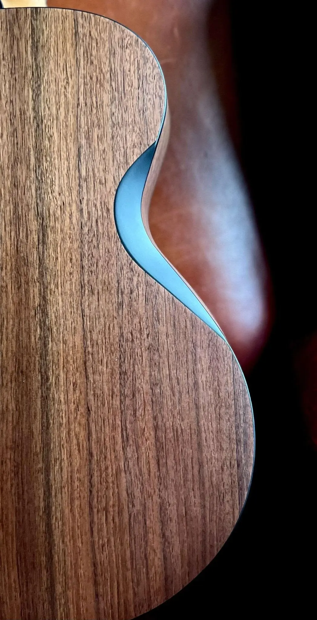 Furch Blue Deluxe Gc-SW, Acoustic Guitar (2026 CNR Active Upgrade Model) - Image 16