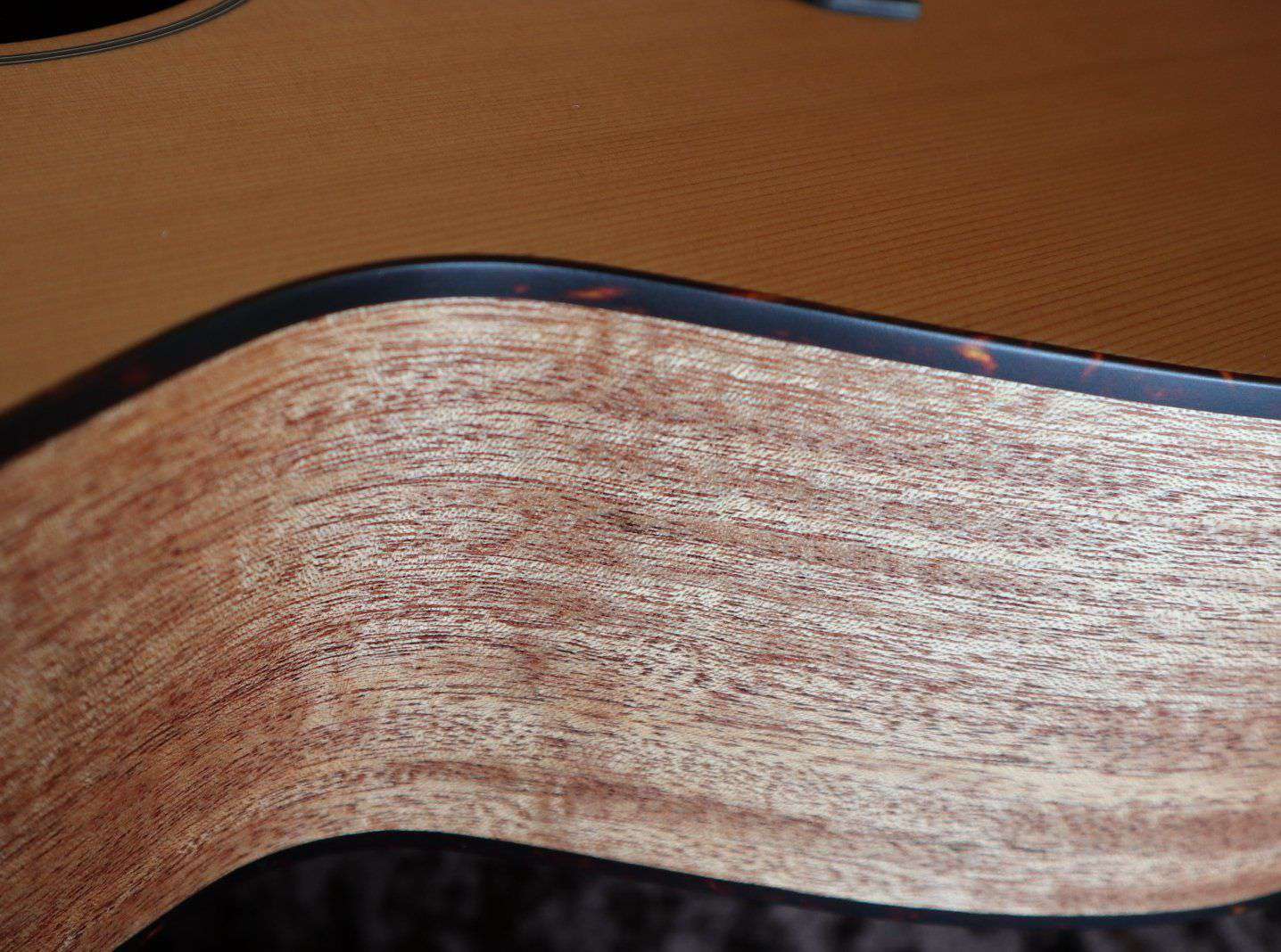 Furch Blue G CM (Grand Auditorium / Cedar / Mahogany) Acoustic Guitar (2026 CNR Active Upgrade Model) - Image 10