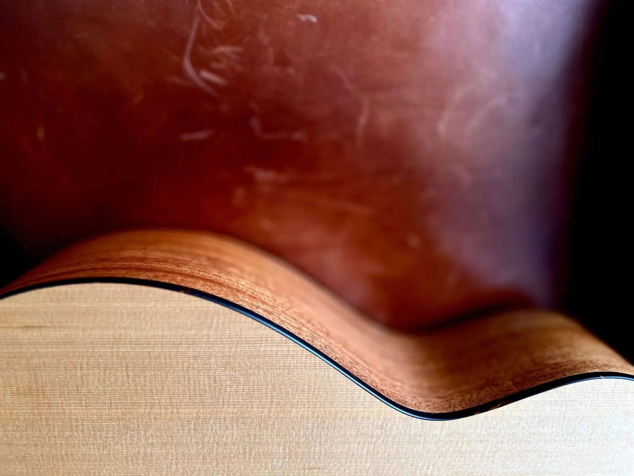 Furch Blue Gc CM (Formerly) G CMC (Grand Auditorium / Cedar / Mahogany / Cutaway) Acoustic Guitar (2026 CNR Active Upgrade Model) - Image 7