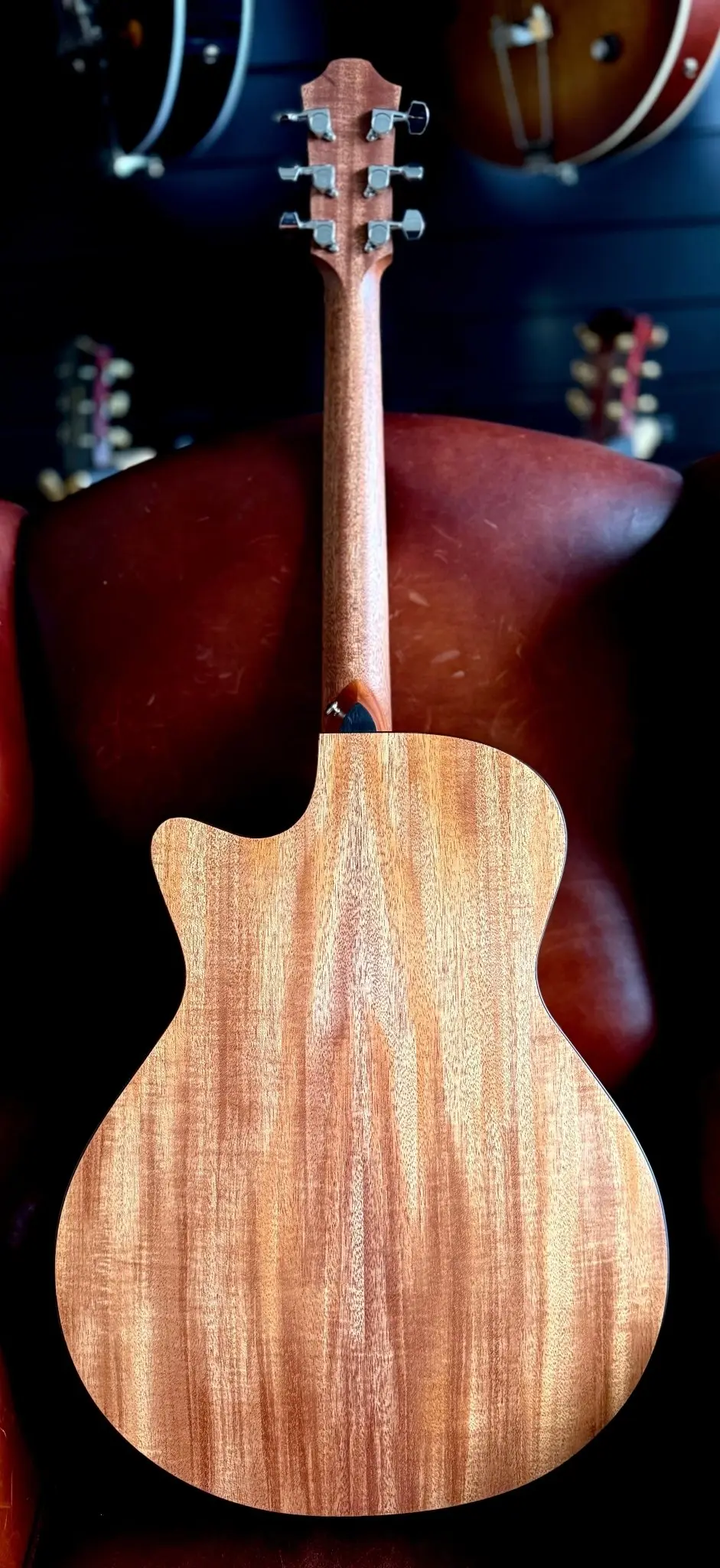 Furch Blue Gc-CM SPE Master's Choice Grand Auditorium (cutaway) Electro Acoustic Guitar (2026 CNR Active Upgrade Model) - Image 11