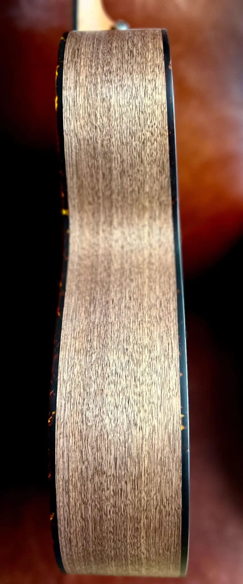 Furch Blue OM-SW Orchestra model Acoustic Guitar (2026 CNR Active Upgrade Model) - Image 10