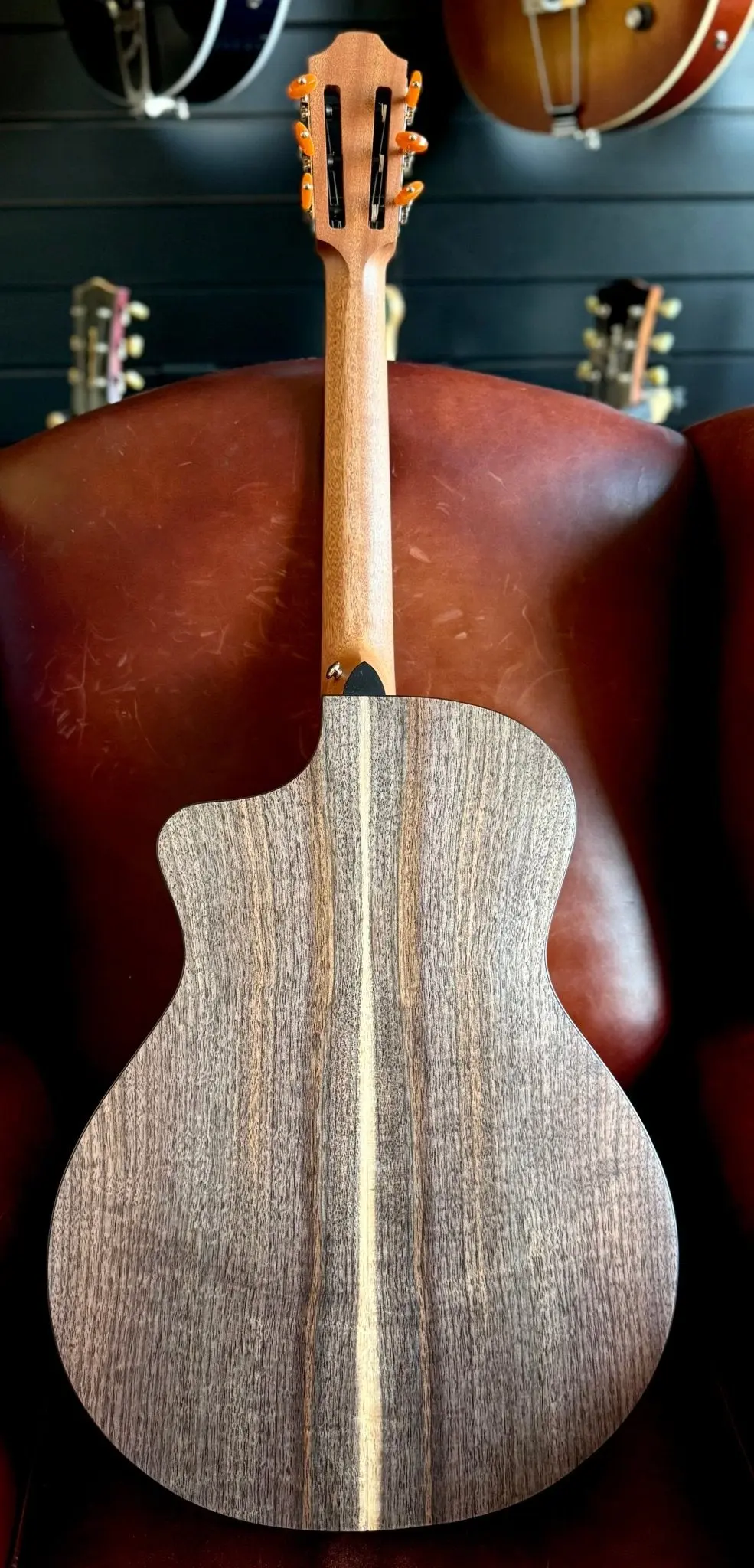Furch GNc 2CW Hybrid Nylon String Cutaway Classic (2026 CNR Active Upgrade Model) - Image 3