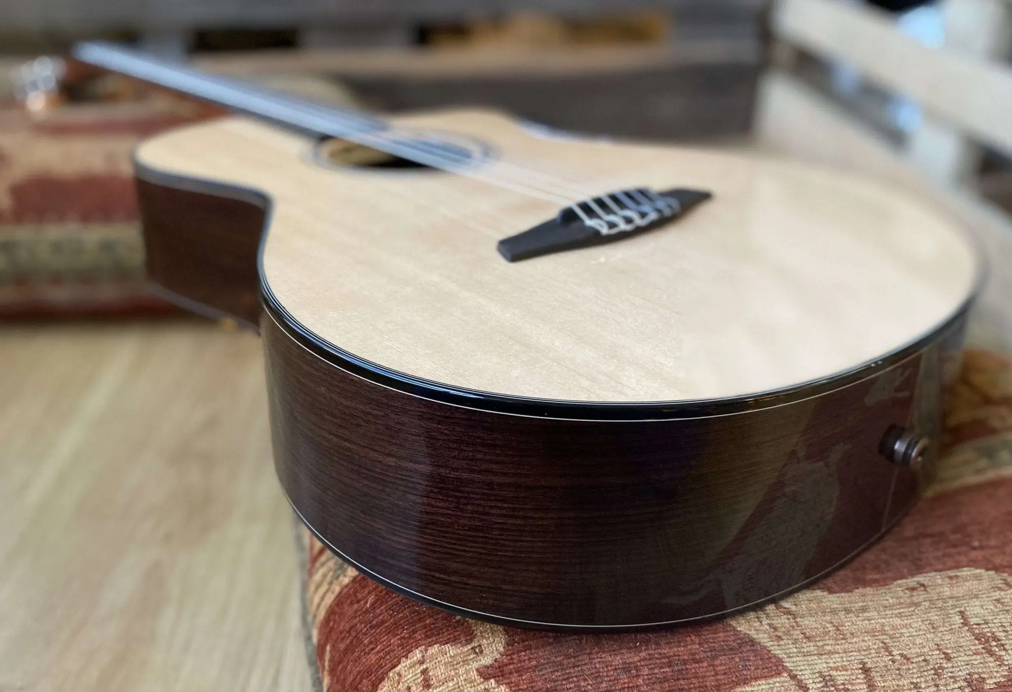 Furch GNc 4-SR EAS-VTC Electro Nylon String Hybrid Cutaway Classic (2026 CNR Active Upgrade Model) - Image 28