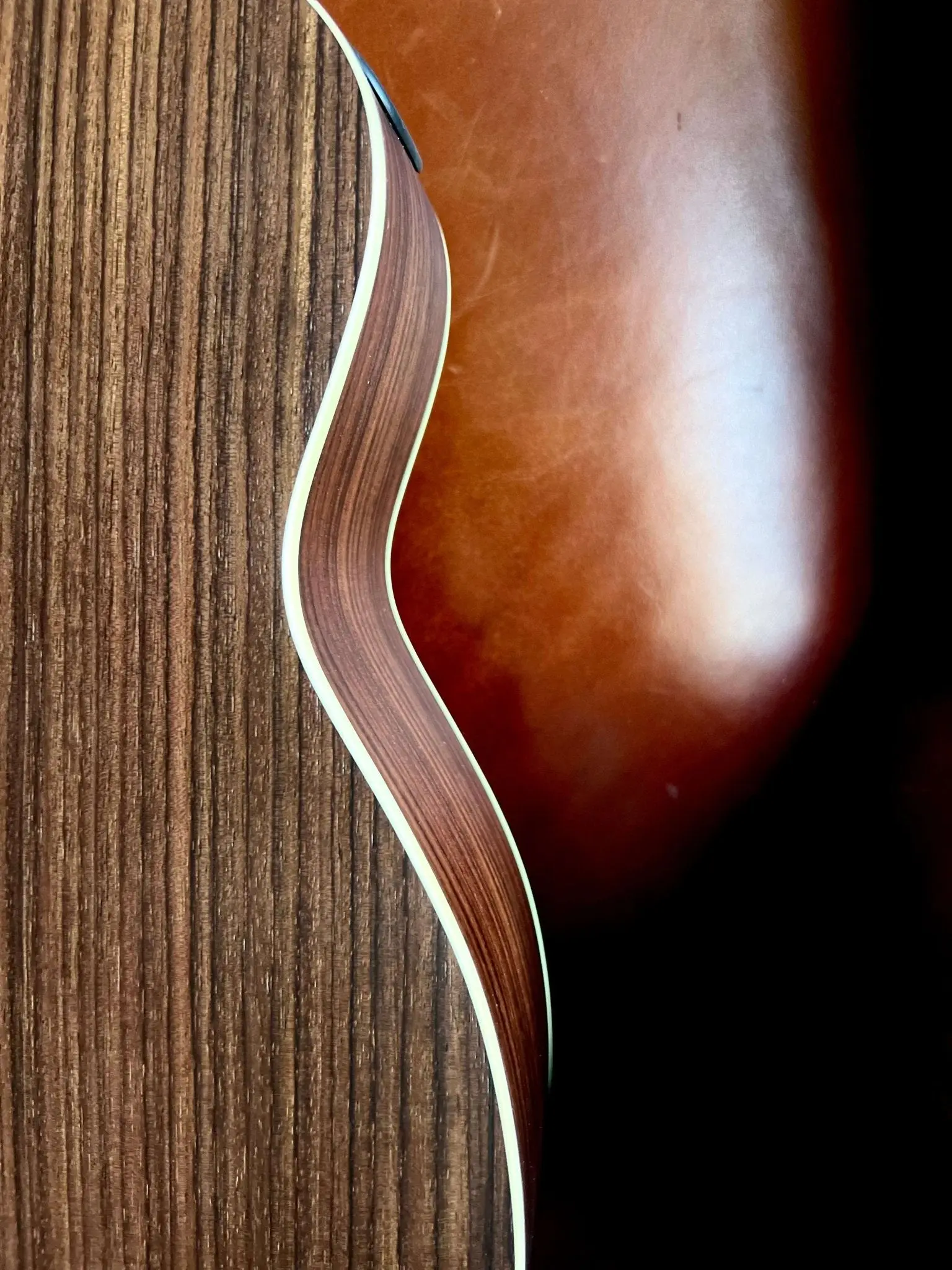 Furch Little Jane LJ 11-SR - Deluxe Travel Acoustic Guitar - Image 2