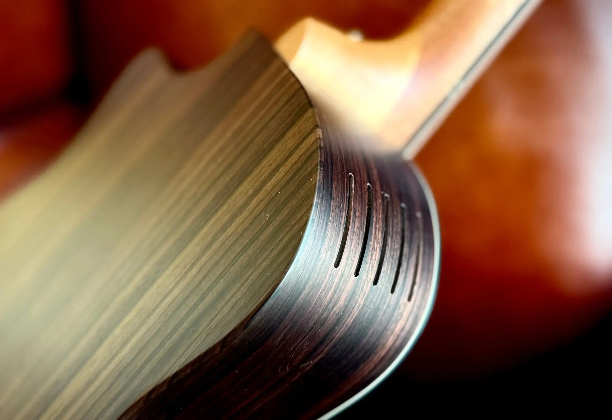 Furch Pioneer ER: Engelmann spruce top with Indian rosewood back and sides. (Furch Mini / Travel Guitar) (2026 CNR Active Upgrade Model) - Image 11