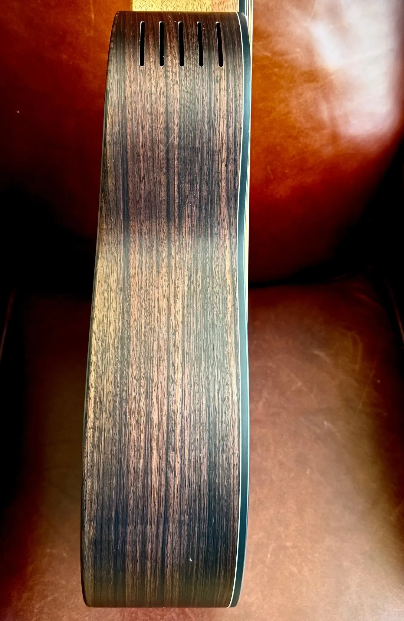 Furch Pioneer ER: Engelmann spruce top with Indian rosewood back and sides. (Furch Mini / Travel Guitar) (2026 CNR Active Upgrade Model) - Image 14