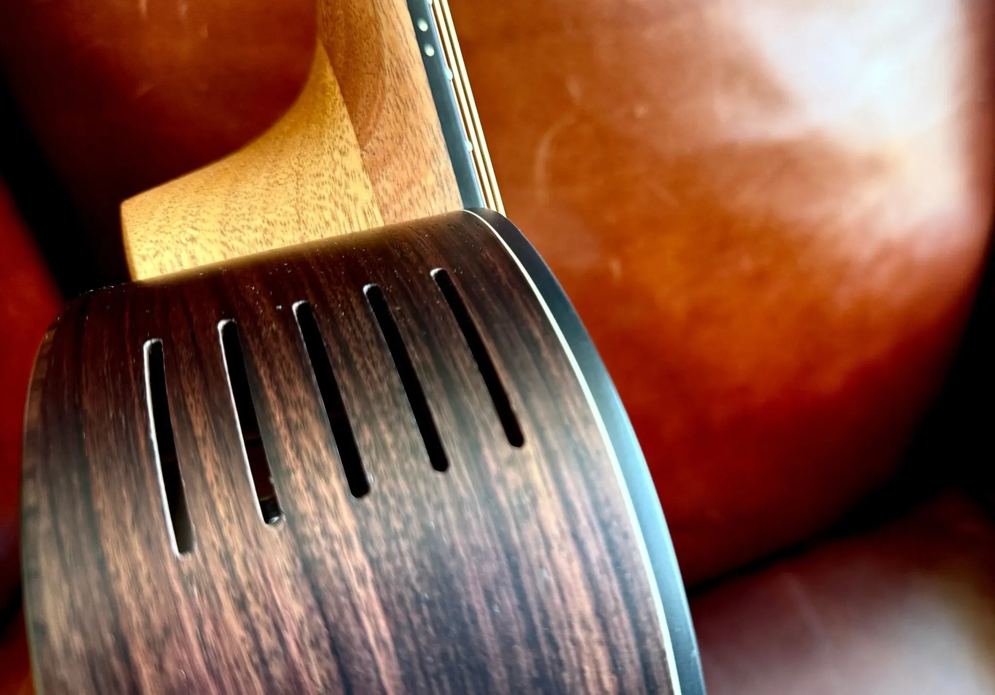 Furch Pioneer ER: Engelmann spruce top with Indian rosewood back and sides. (Furch Mini / Travel Guitar) (2026 CNR Active Upgrade Model) - Image 15