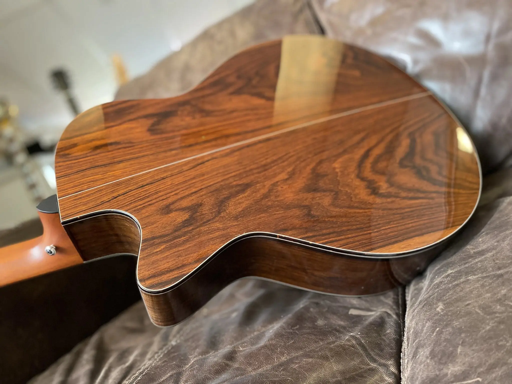 Furch Rainbow Series GCSC (Spruce / Cocobolo) (2026 CNR Active Upgrade Model) - Image 11