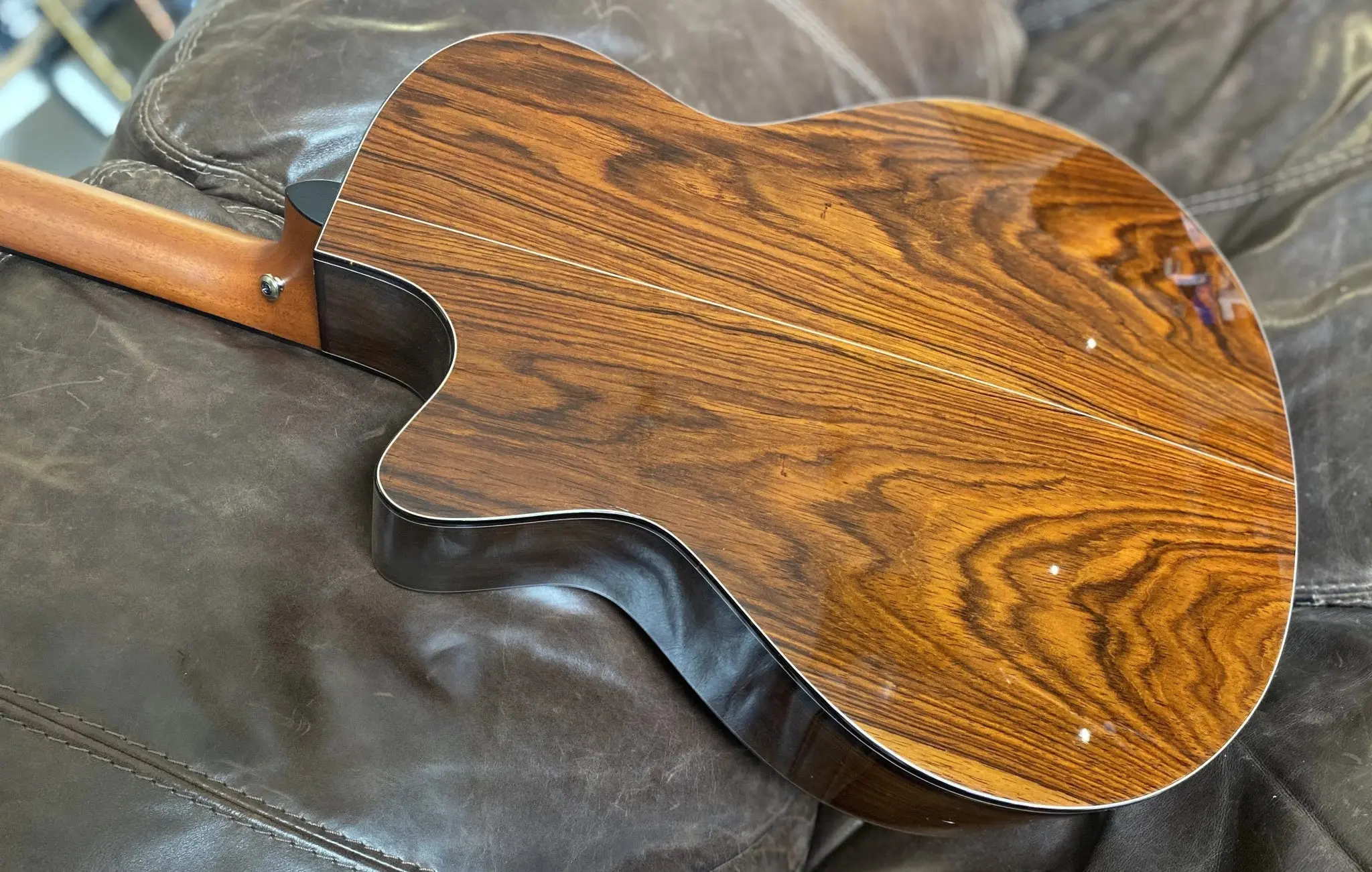 Furch Rainbow Series GCSC (Spruce / Cocobolo) (2026 CNR Active Upgrade Model) - Image 12