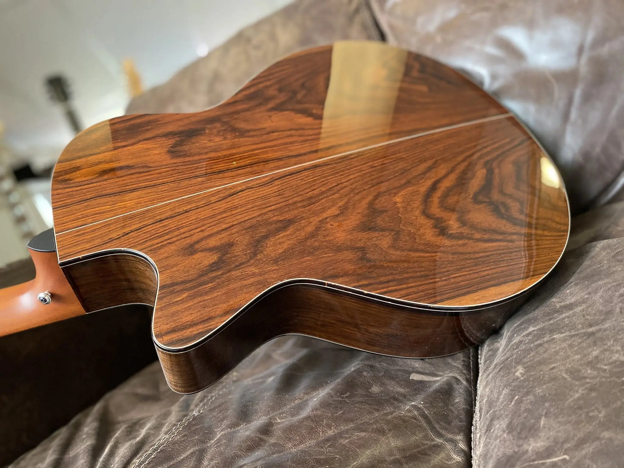 Furch Rainbow Series GCSC (Spruce / Cocobolo) (2026 CNR Active Upgrade Model) - Image 13