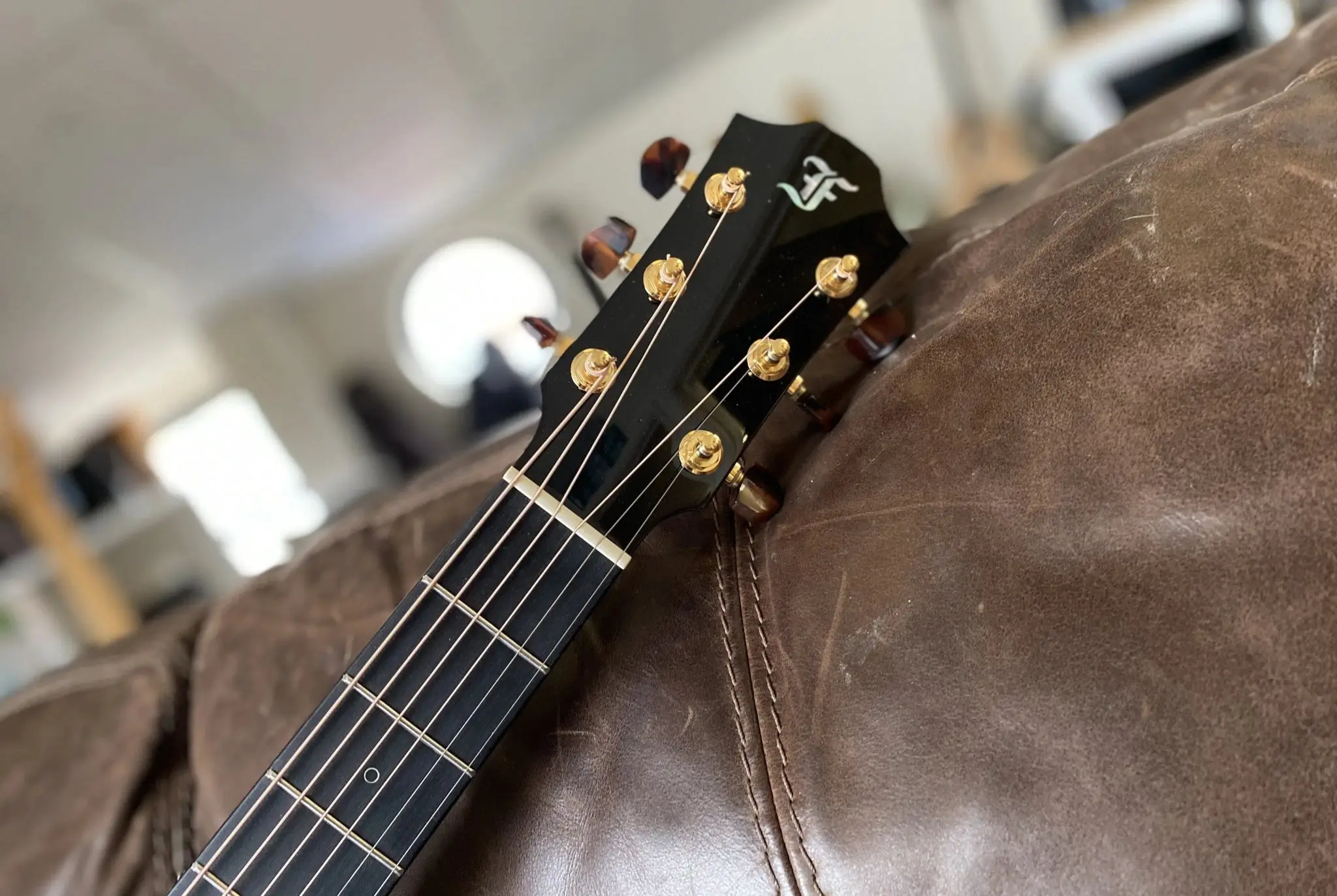 Furch Rainbow Series GCSC (Spruce / Cocobolo) (2026 CNR Active Upgrade Model) - Image 2