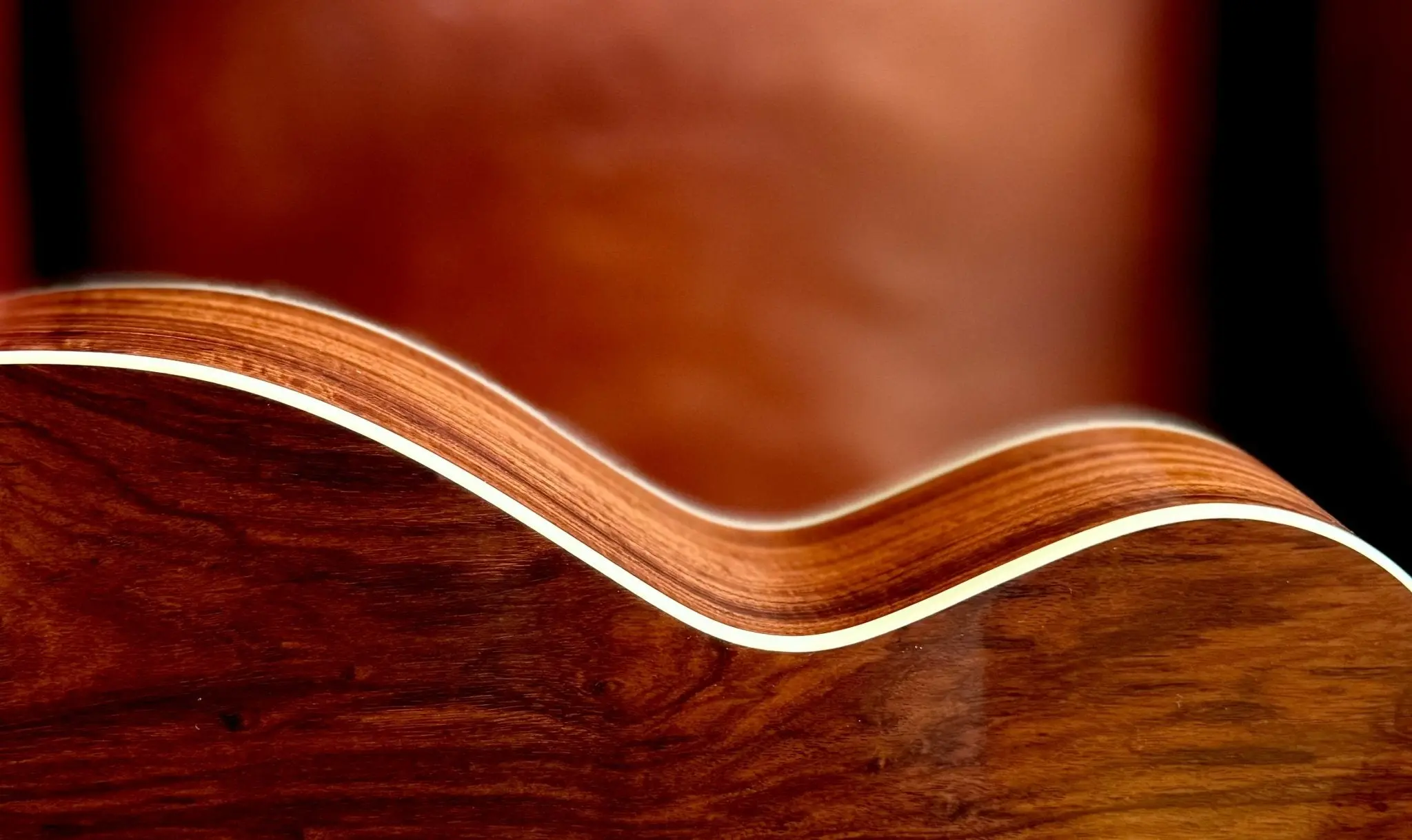 Furch Vintage 2 Granadillo OM SX Exotic Ltd Series Acoustic Guitar - Image 19