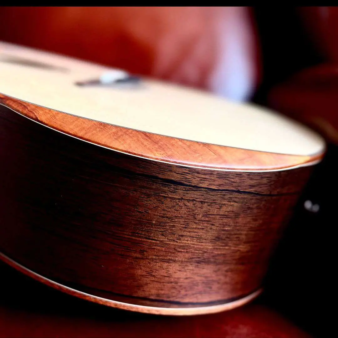 Furch Red Pure Deluxe Limited Run Malaysian Blackwood With Alpine Spruce Top (2026 CNR Model) - Image 23