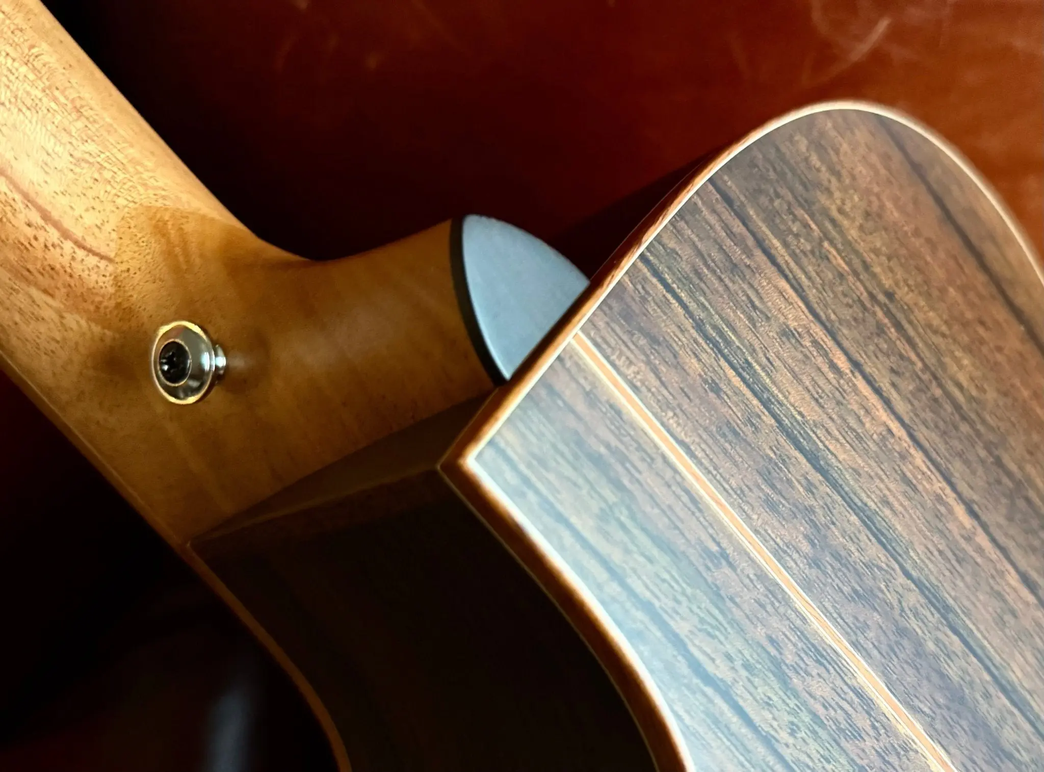 Furch Red Pure Deluxe Limited Run Malaysian Blackwood With Alpine Spruce Top (2026 CNR Model) - Image 25