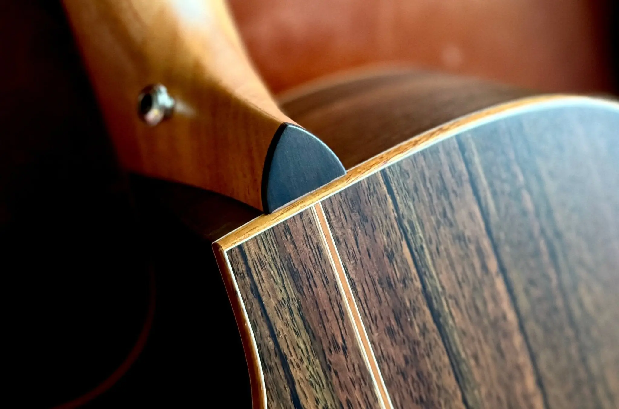 Furch Red Pure Deluxe Limited Run Malaysian Blackwood With Alpine Spruce Top (2026 CNR Model) - Image 3