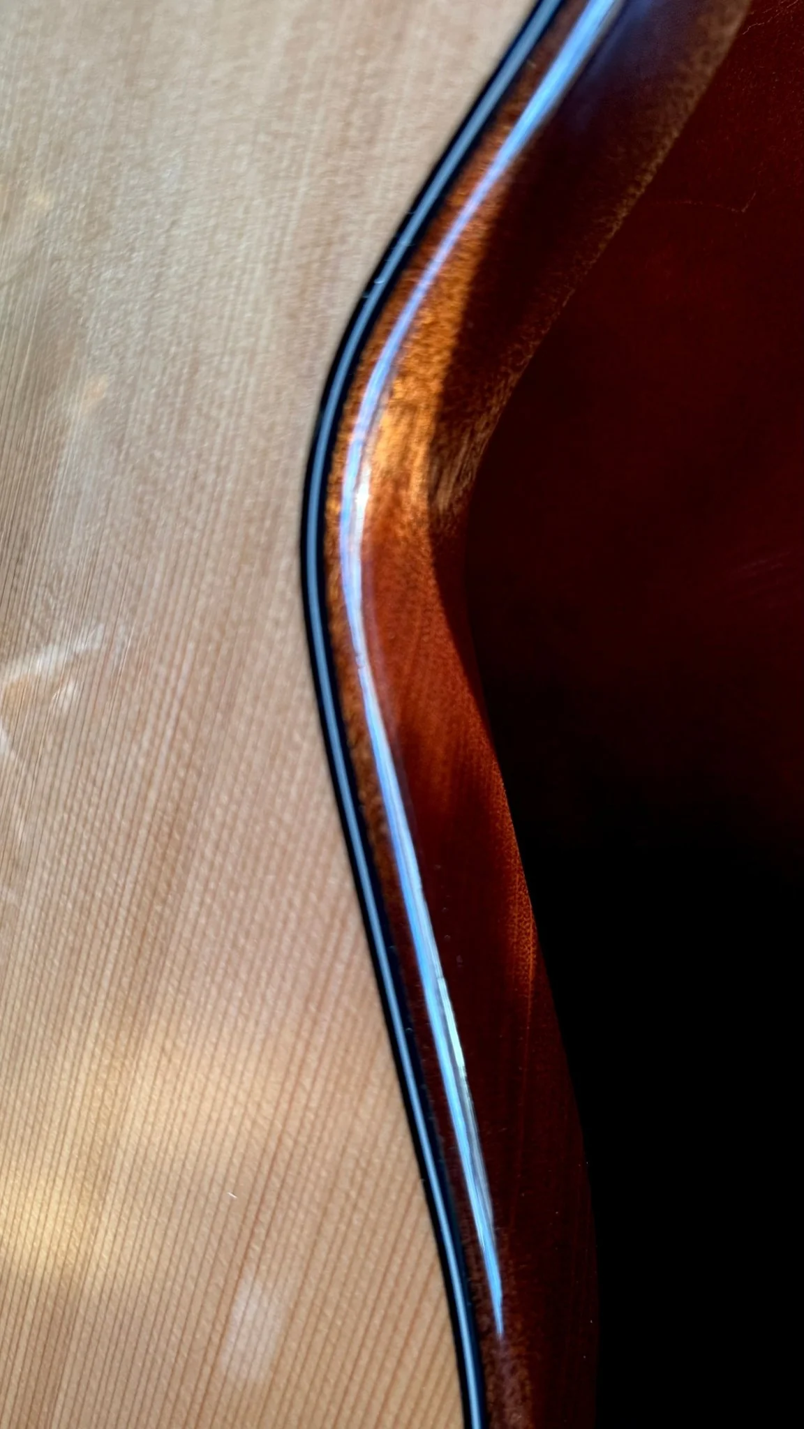 Godin A6 Ultra Deluxe Electic / Electro Acoustic Hybrid Guitar - Image 14