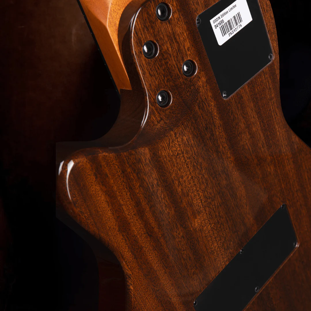 Godin A6 Ultra Deluxe Electic / Electro Acoustic Hybrid Guitar - Image 2