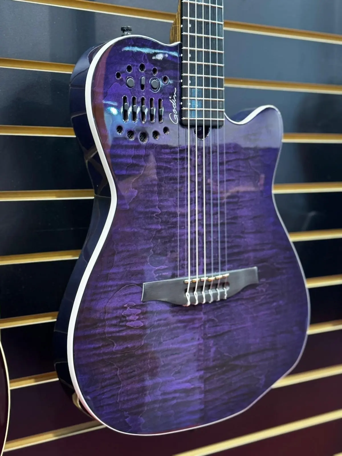 Godin ACS Nylon Steve Stevens Signature 25th Anniversary (Arriving June 2026) - Image 2
