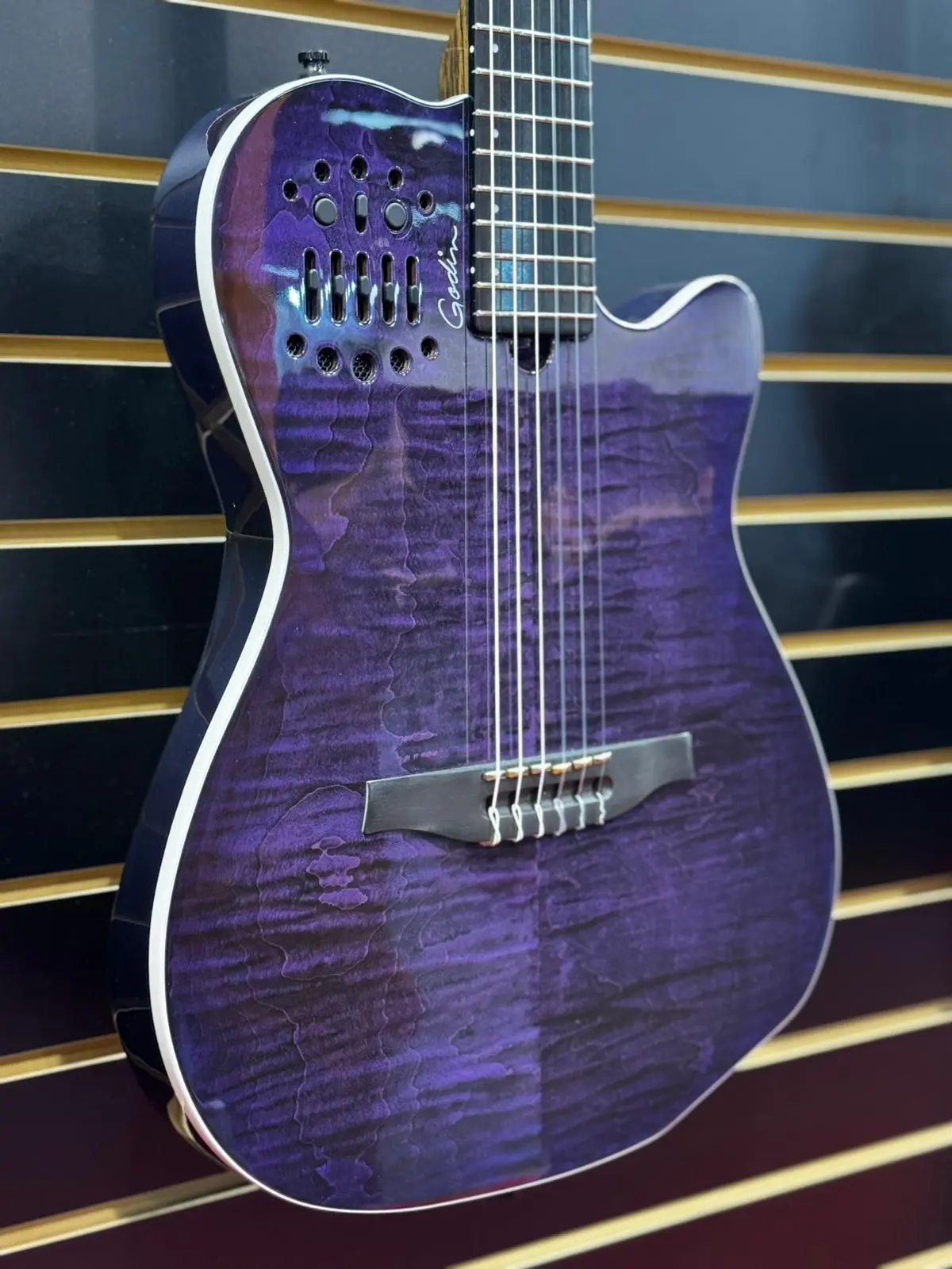 Godin ACS Nylon Steve Stevens Signature 25th Anniversary (Arriving June 2026) - Image 3