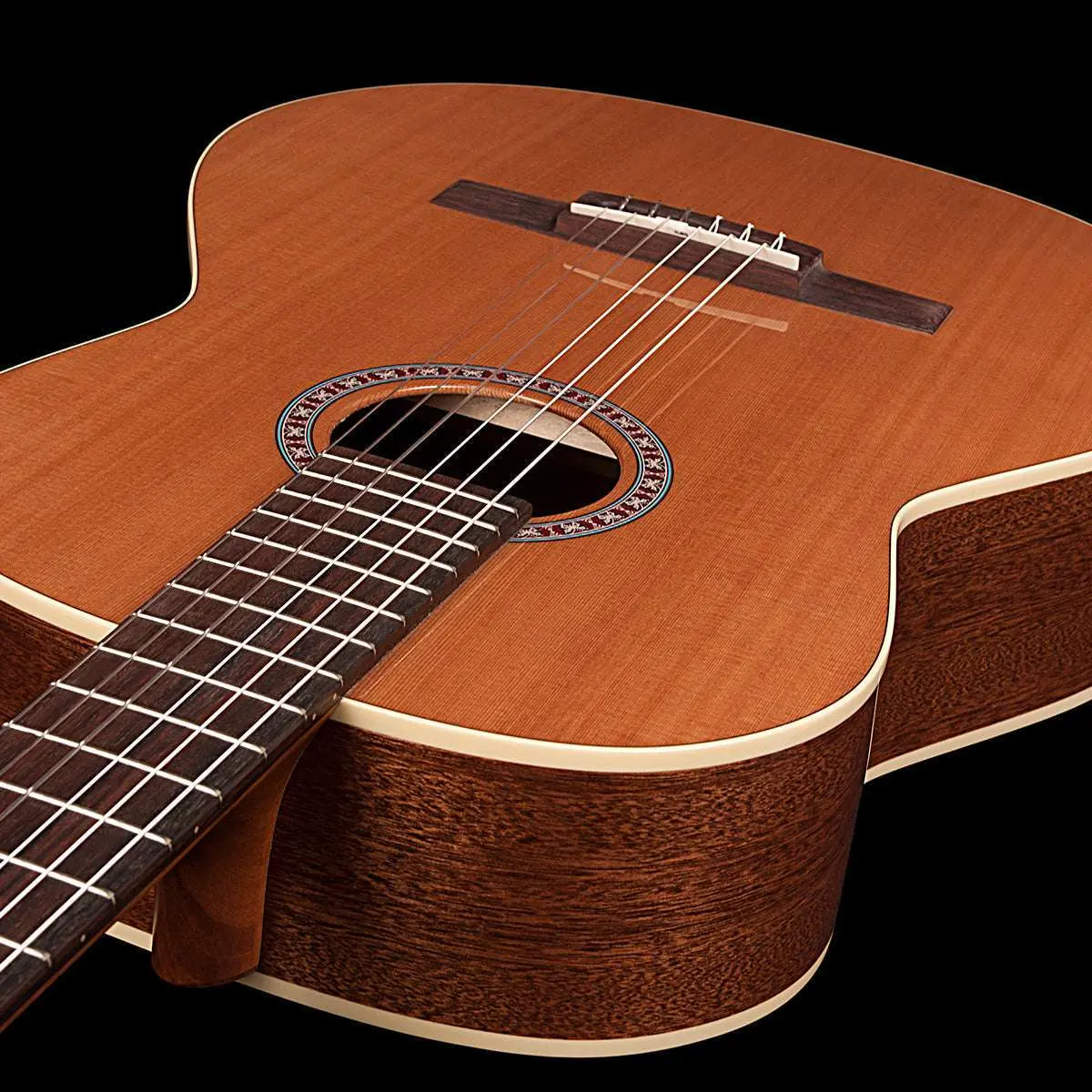 Godin Concert Nylon String Guitar - Image 5