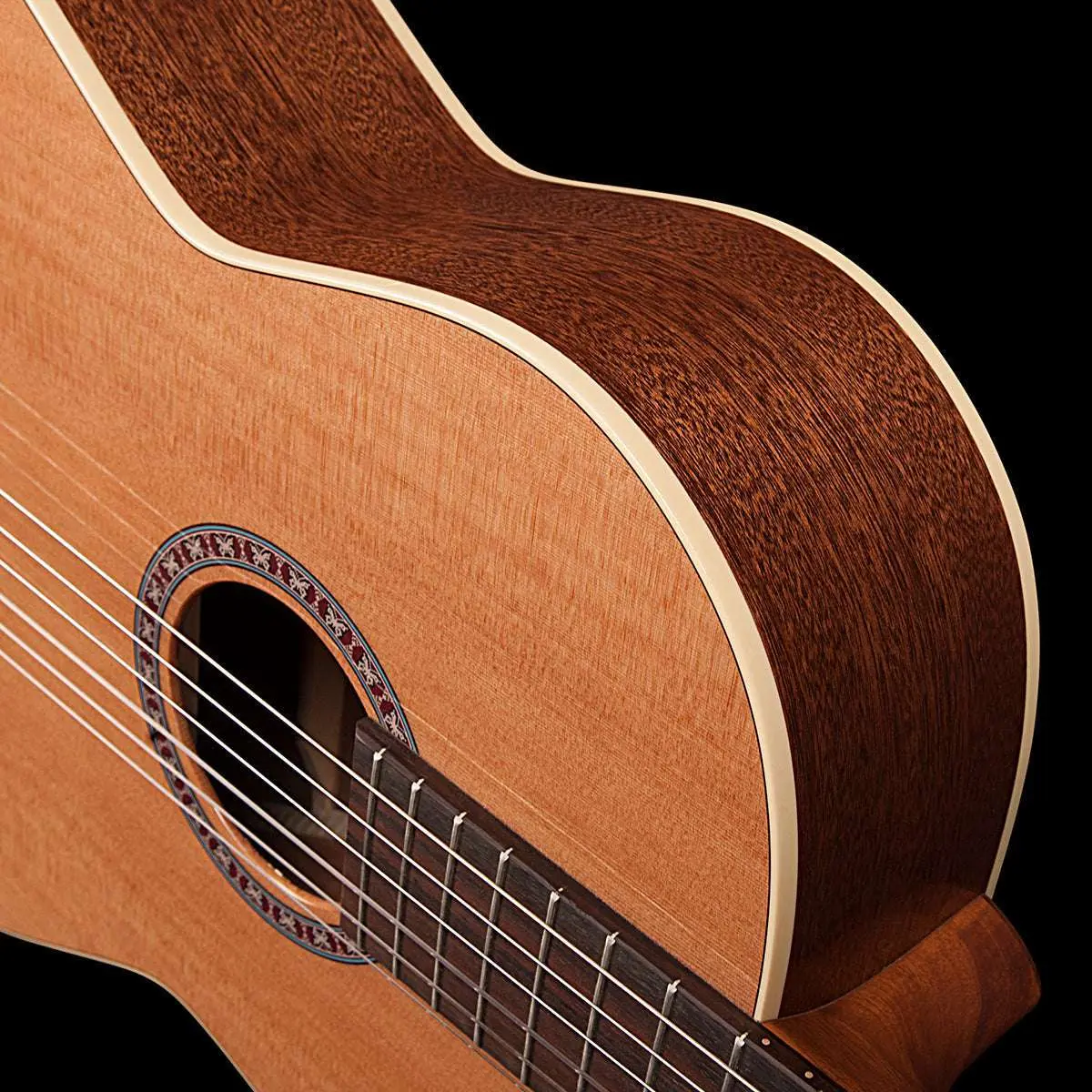 Godin Concert Nylon String Guitar - Image 6