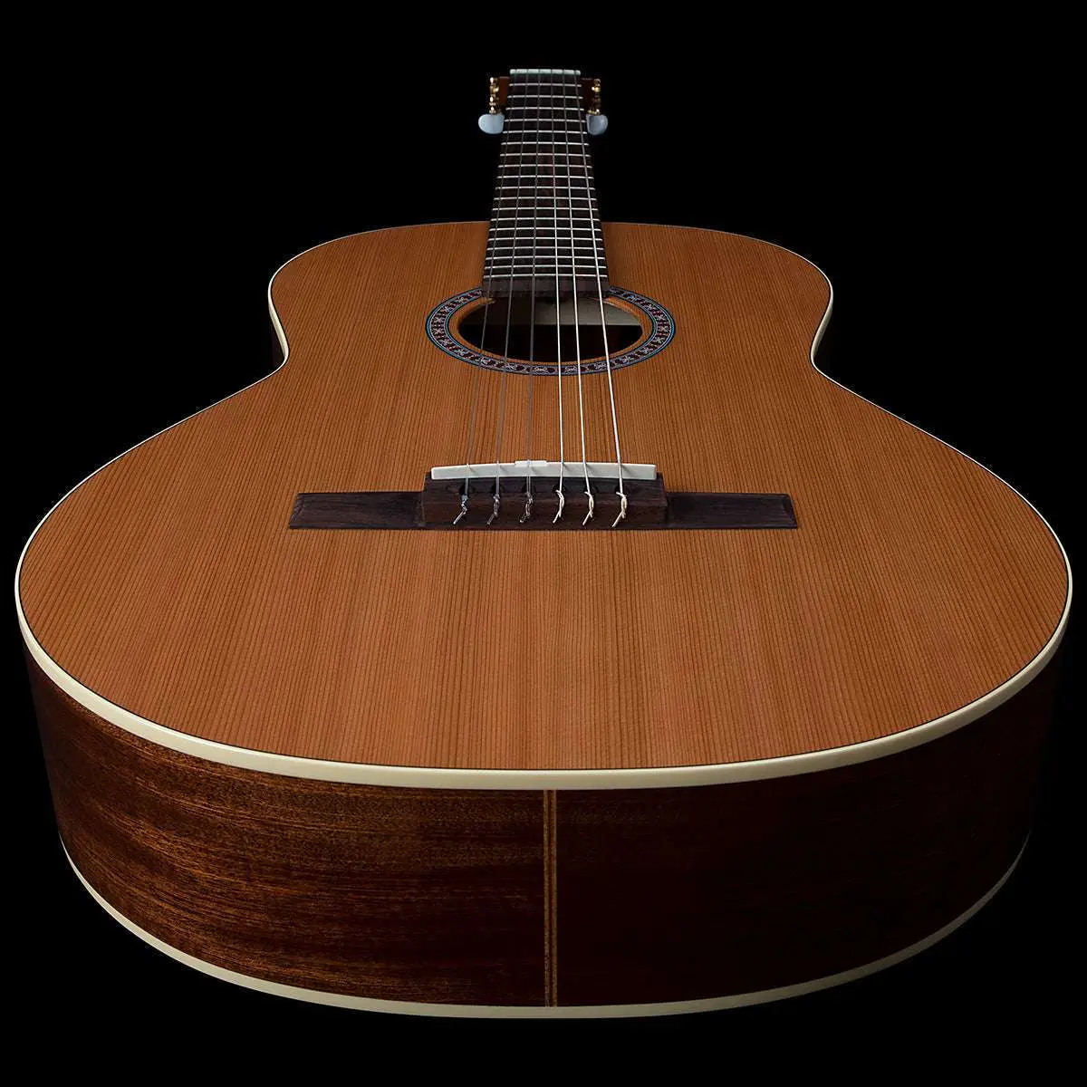 Godin Concert Nylon String Guitar ~ Left Hand - Image 6