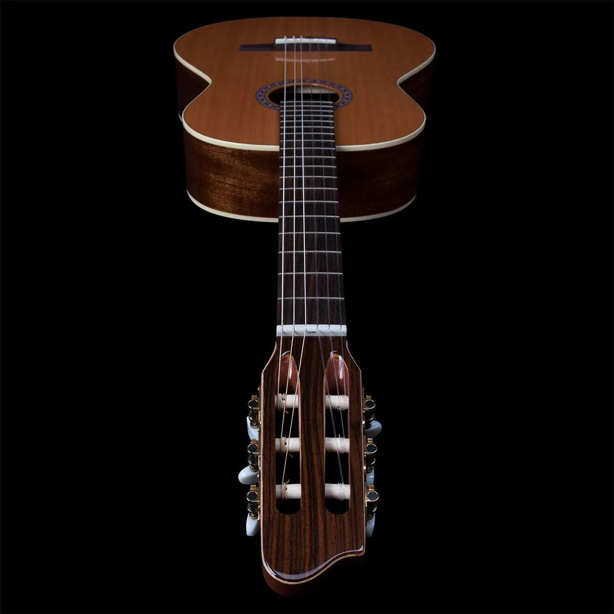 Godin Concert Nylon String Guitar ~ Left Hand - Image 9
