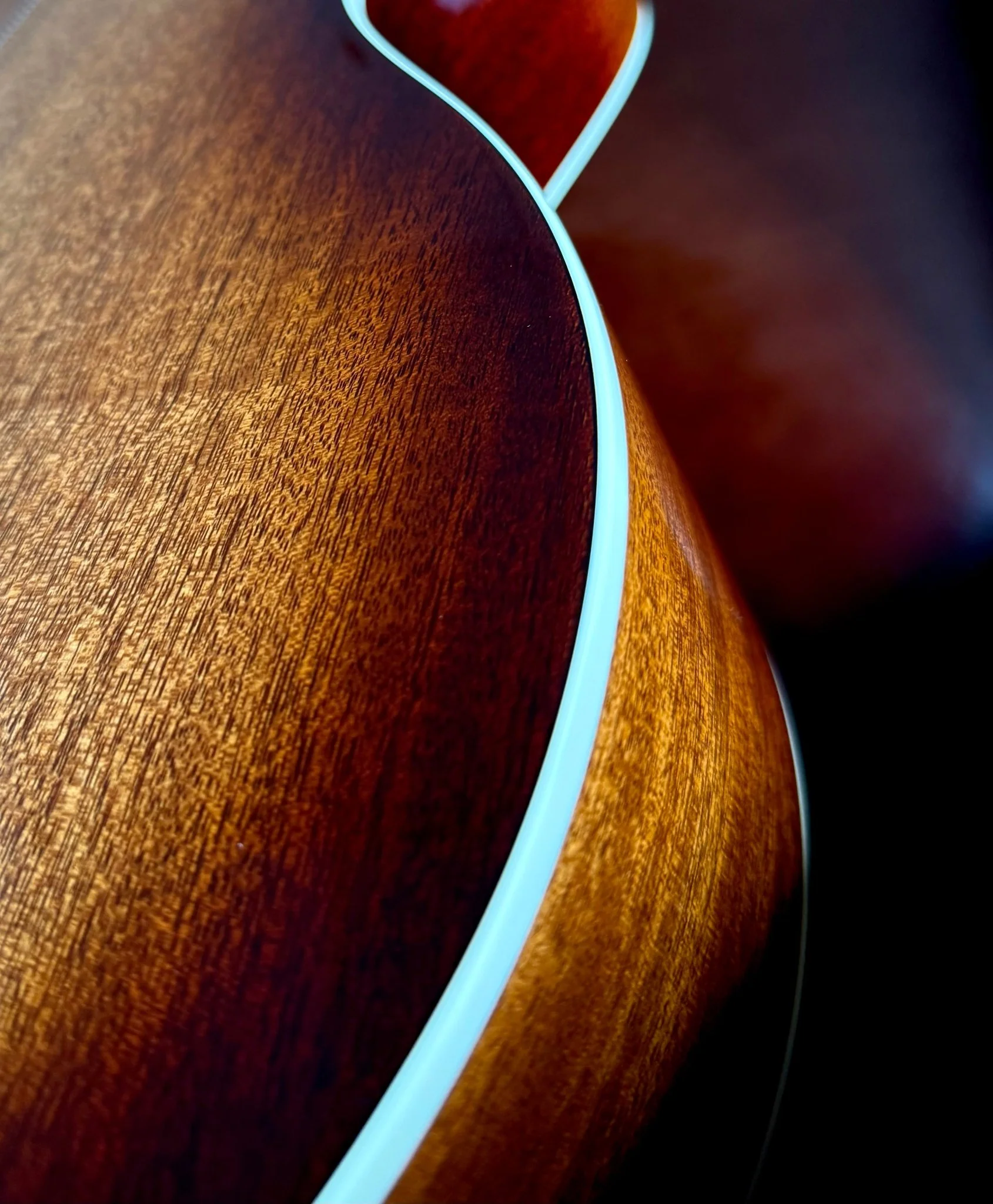 Godin Connaisseur MJ Sunsetburst Maho Electro Acoustic Guitar - Image 2