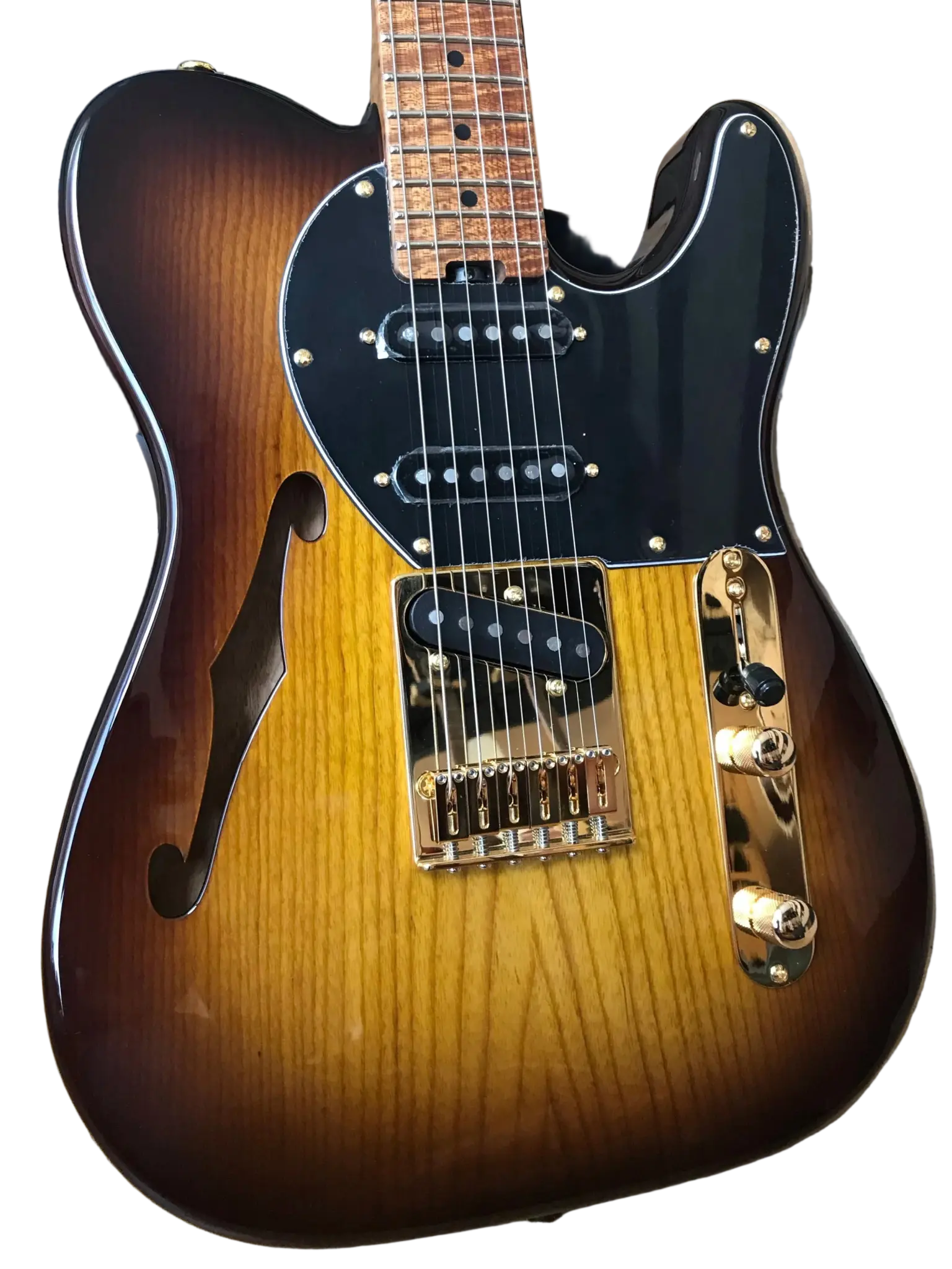 Gordon Smith Classic T Semi Hollow Nashville Custom - Image 11