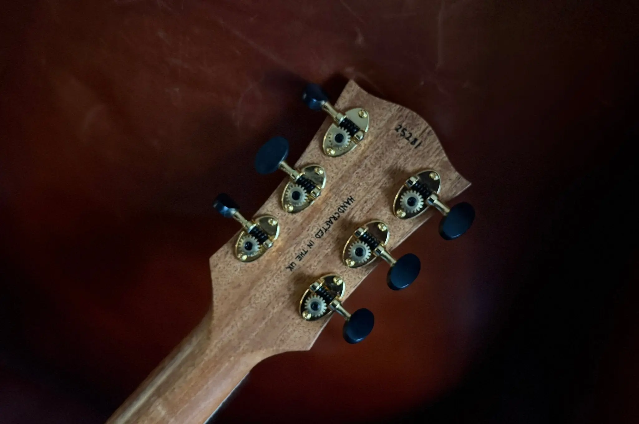 Gordon Smith GSG2 Natural Custom Build - Image 16