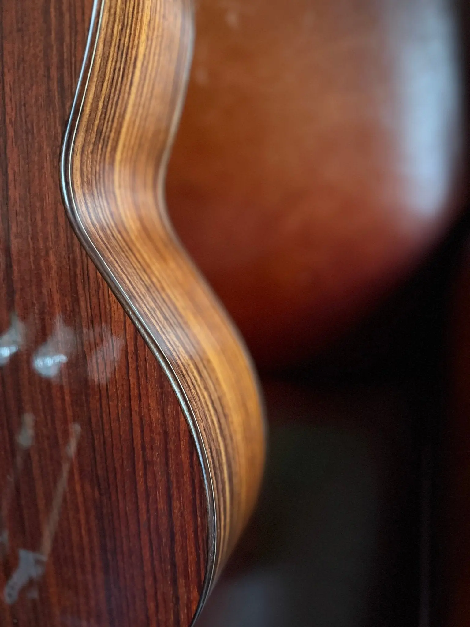 Kremona Fiesta F65C-T Solid Red Cedar, Indian Rosewood Veneer Nylon Strung Guitar - Image 5